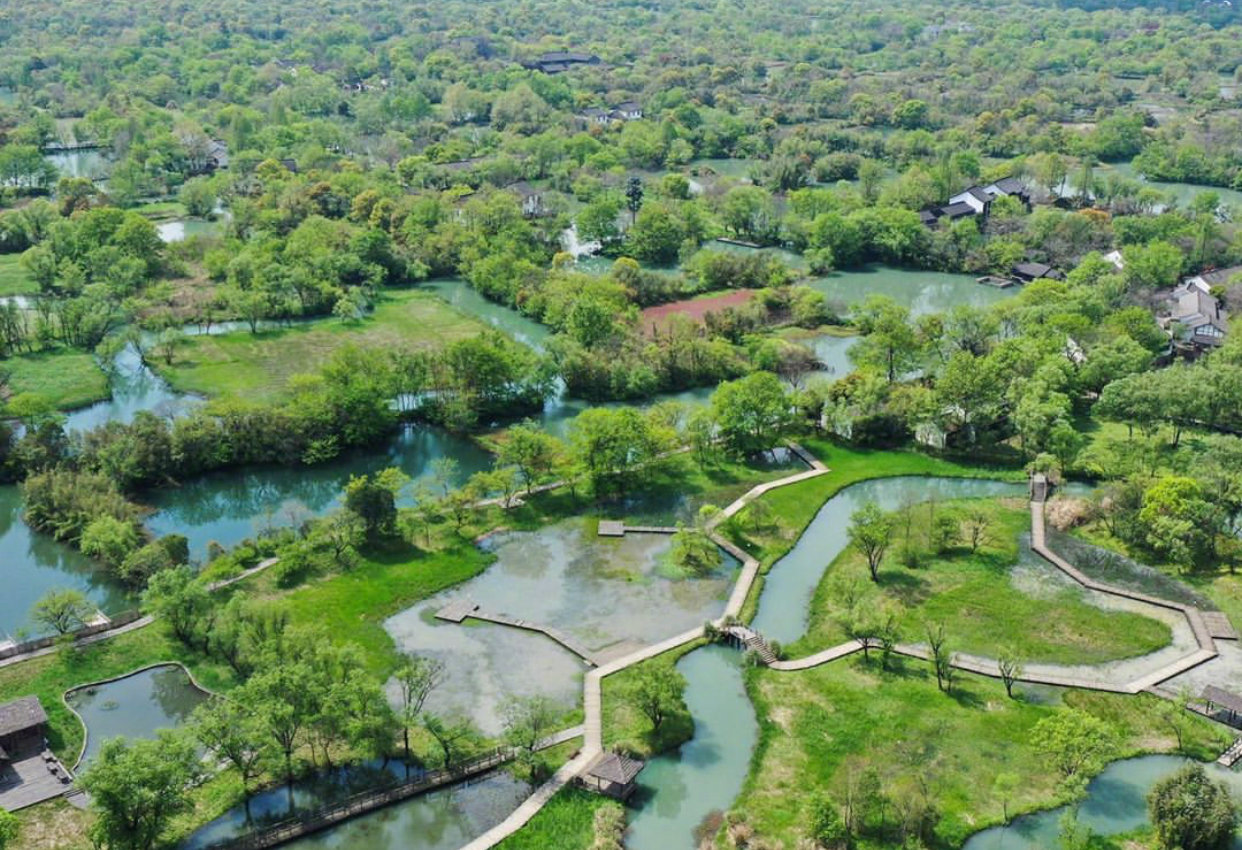 杭州·西溪湿地公园,打过卡吗?#带着微博去旅行