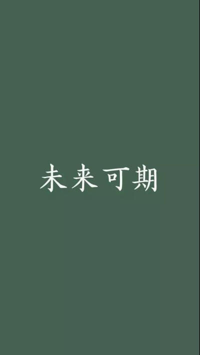 壁纸 未来可期