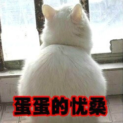 蛋蛋的忧桑!
