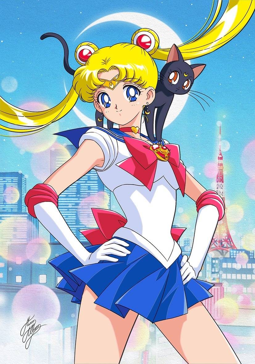 美少女戦士 セーラームーン[月野兔/露娜 水兵月 sailor moon