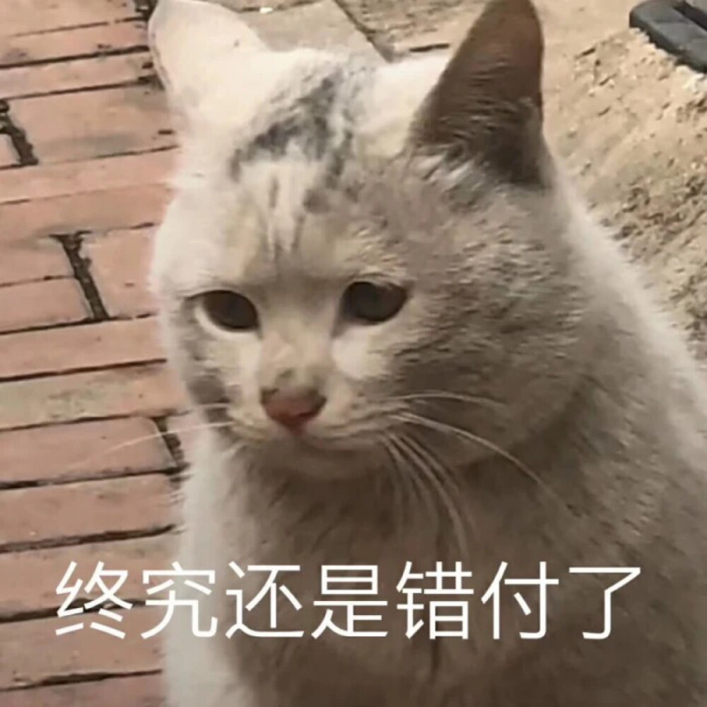 终究还是错付了