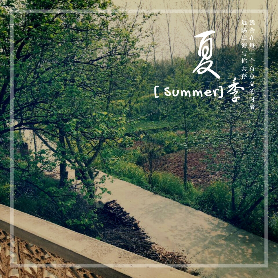 夏季,午后,暖阳