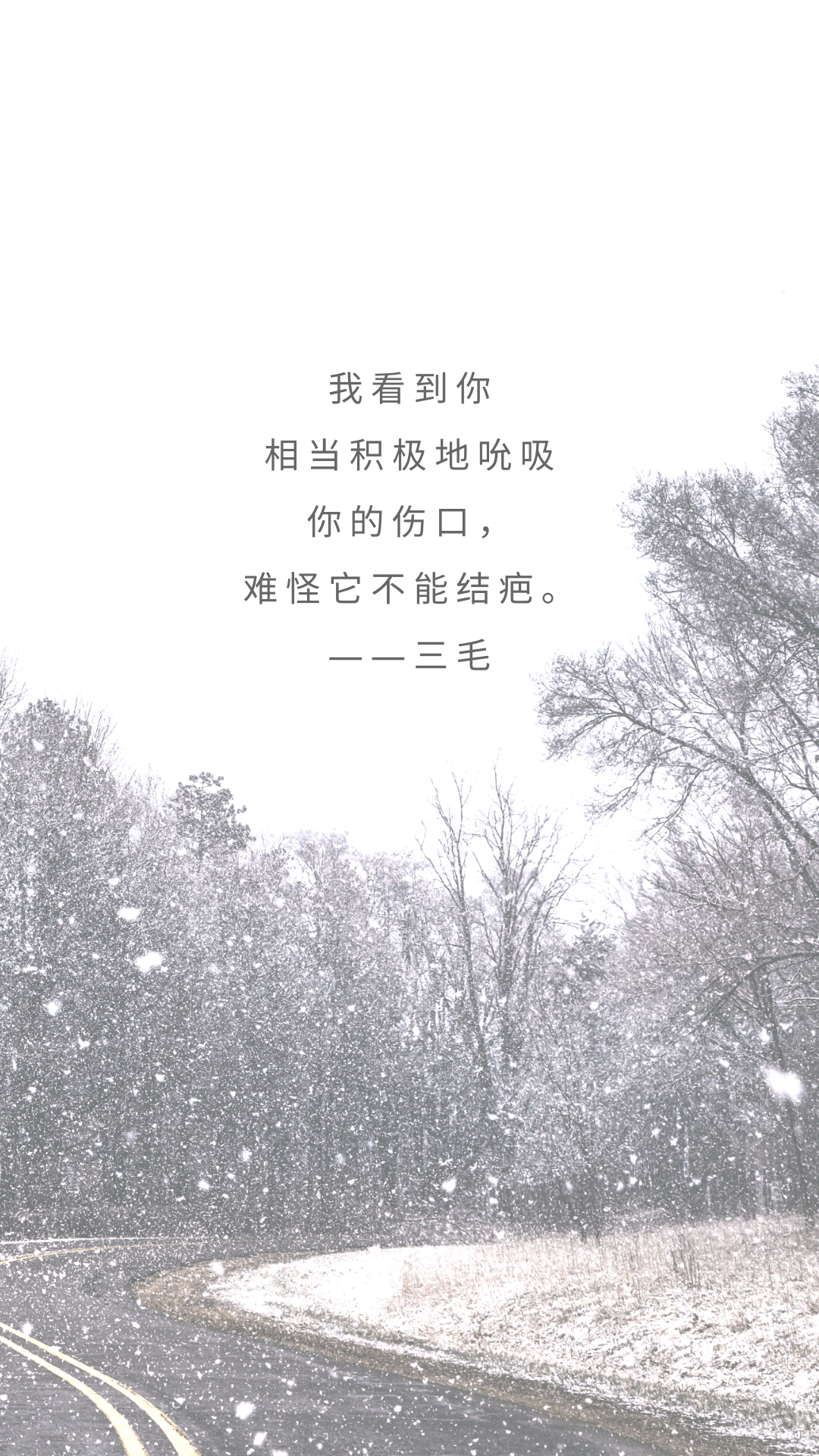 文字系壁纸我的上一篇影评里理出来的名句