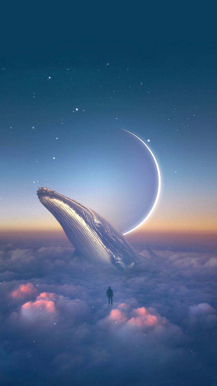 星空鲸鱼