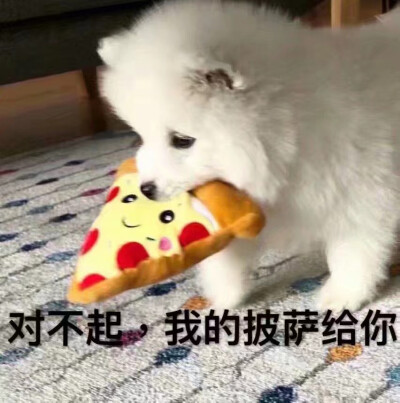 狗狗蹦迪表情包