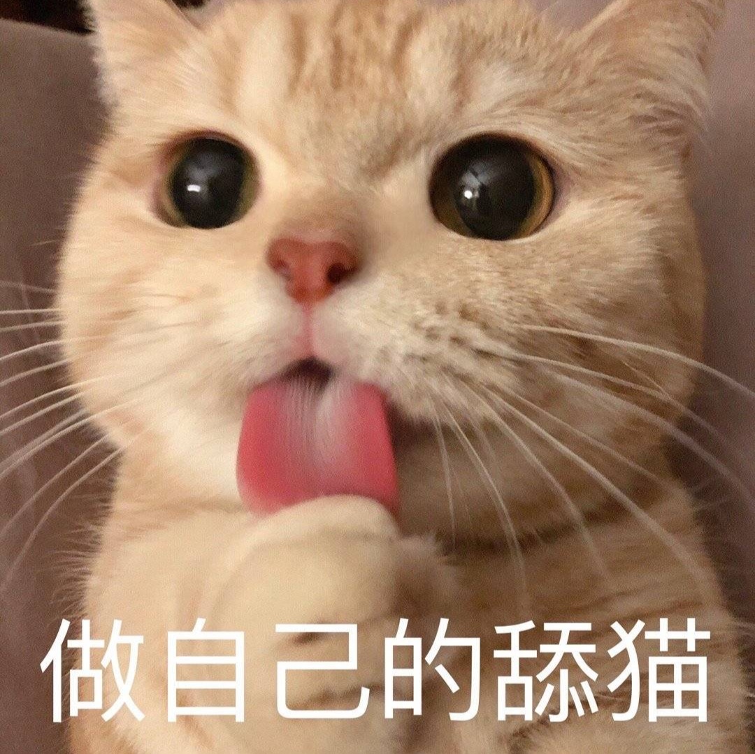 小猫咪表情包.阿烨截.