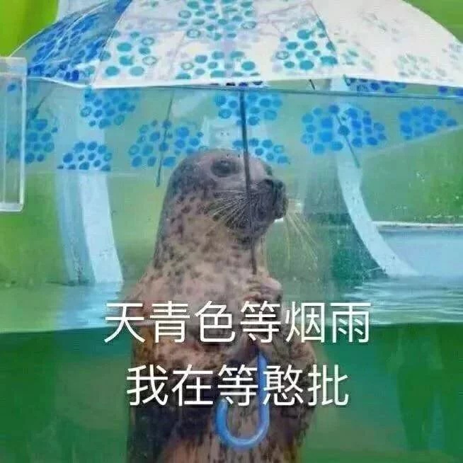 沙雕表情包