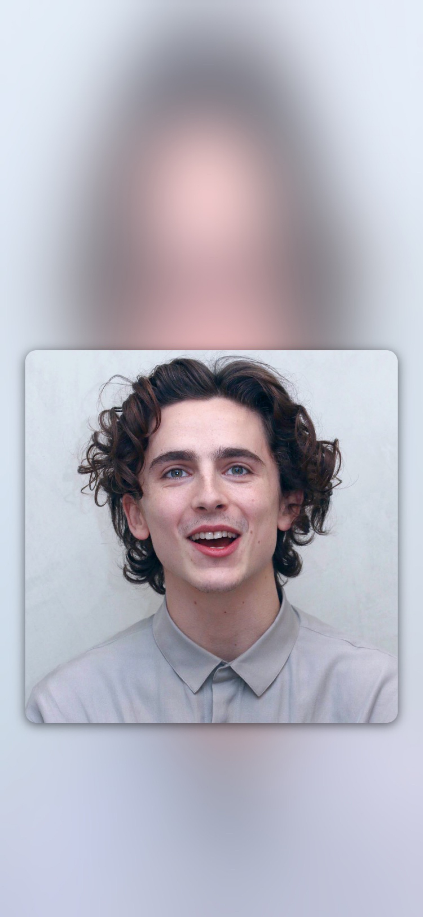 蒂莫西·柴勒梅德timothéechalamet(请以你的名字呼唤