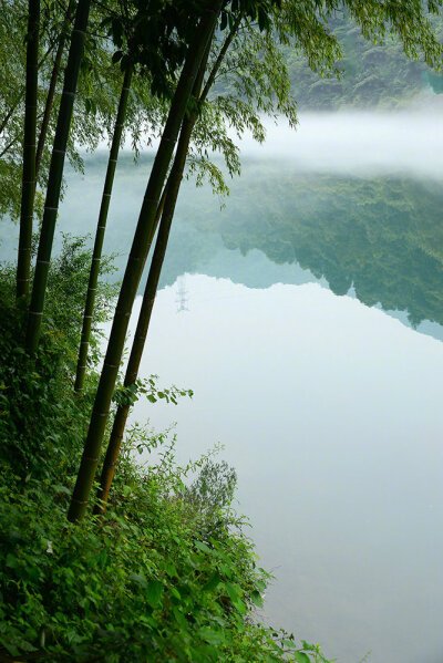 图书丛里清癯老,山水光中潇洒家.除却栽花栽竹外,更将何事作生涯.