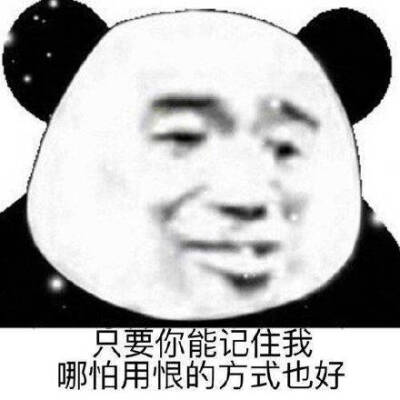 要你能记住我,哪怕用恨的方式也好(熊猫头表情包)