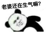 老婆丢了表情包