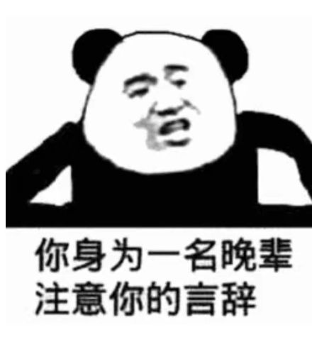你身为一名晚辈注意你的言辞(熊猫头怼人表情包)