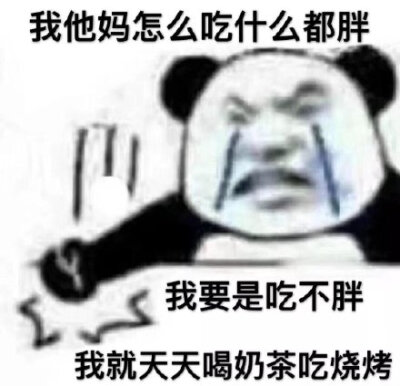 我他妈能说什么