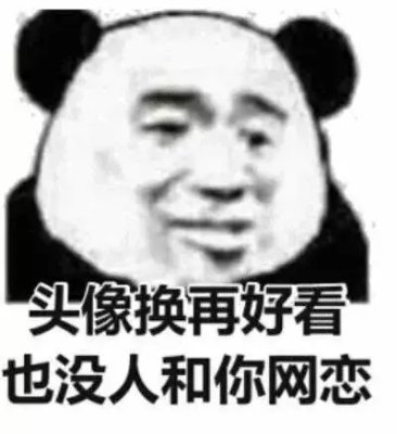 头像换再好看也没人和你网恋(熊猫头怼人表情包)