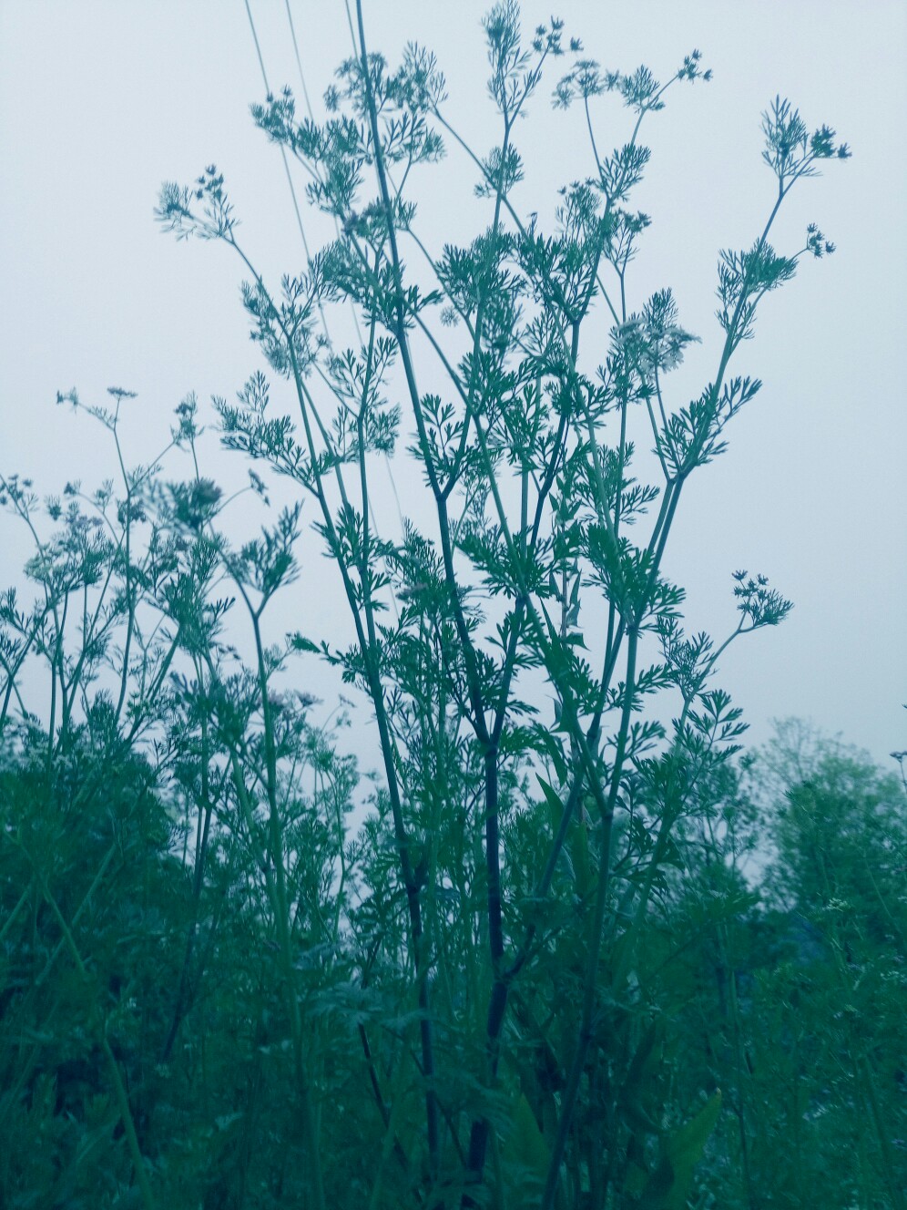 乡村风景 堆糖,美图壁纸兴趣社区