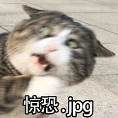 惊恐.jpg(猫咪)