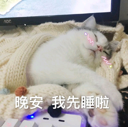 晚安,我先睡啦(猫咪)