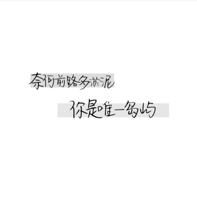 手写/文字背景