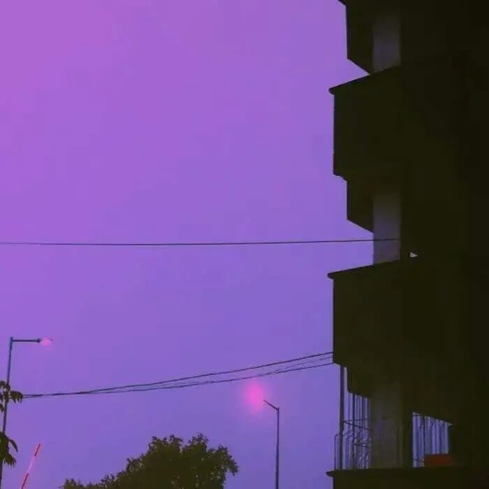 我差一点就要摘到星星了,真的,只是后来天亮了,我没站稳摔下来了,再