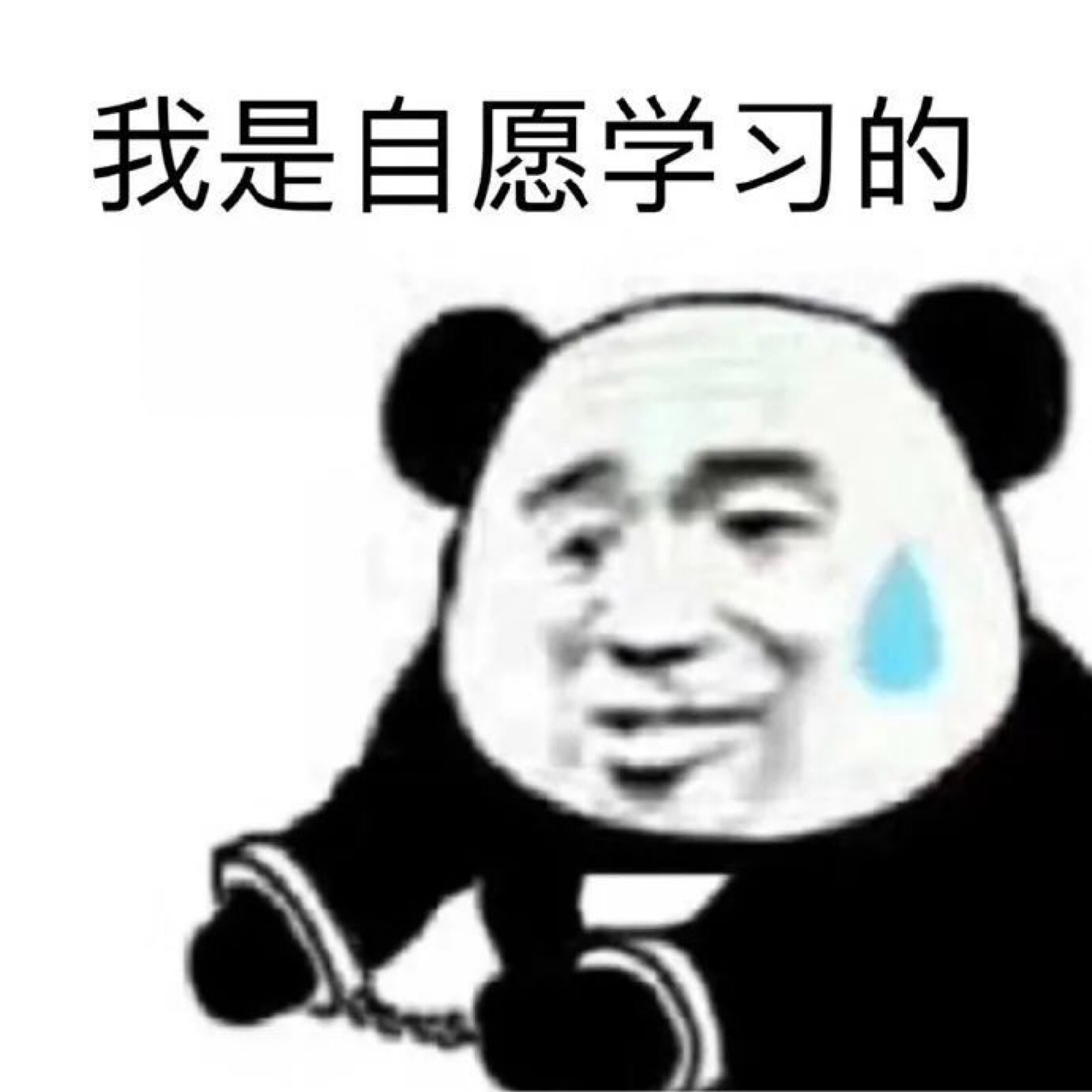 学习表情包