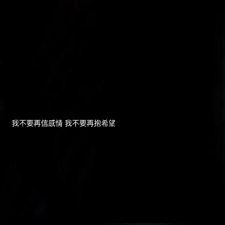 我的小毛驴不在了