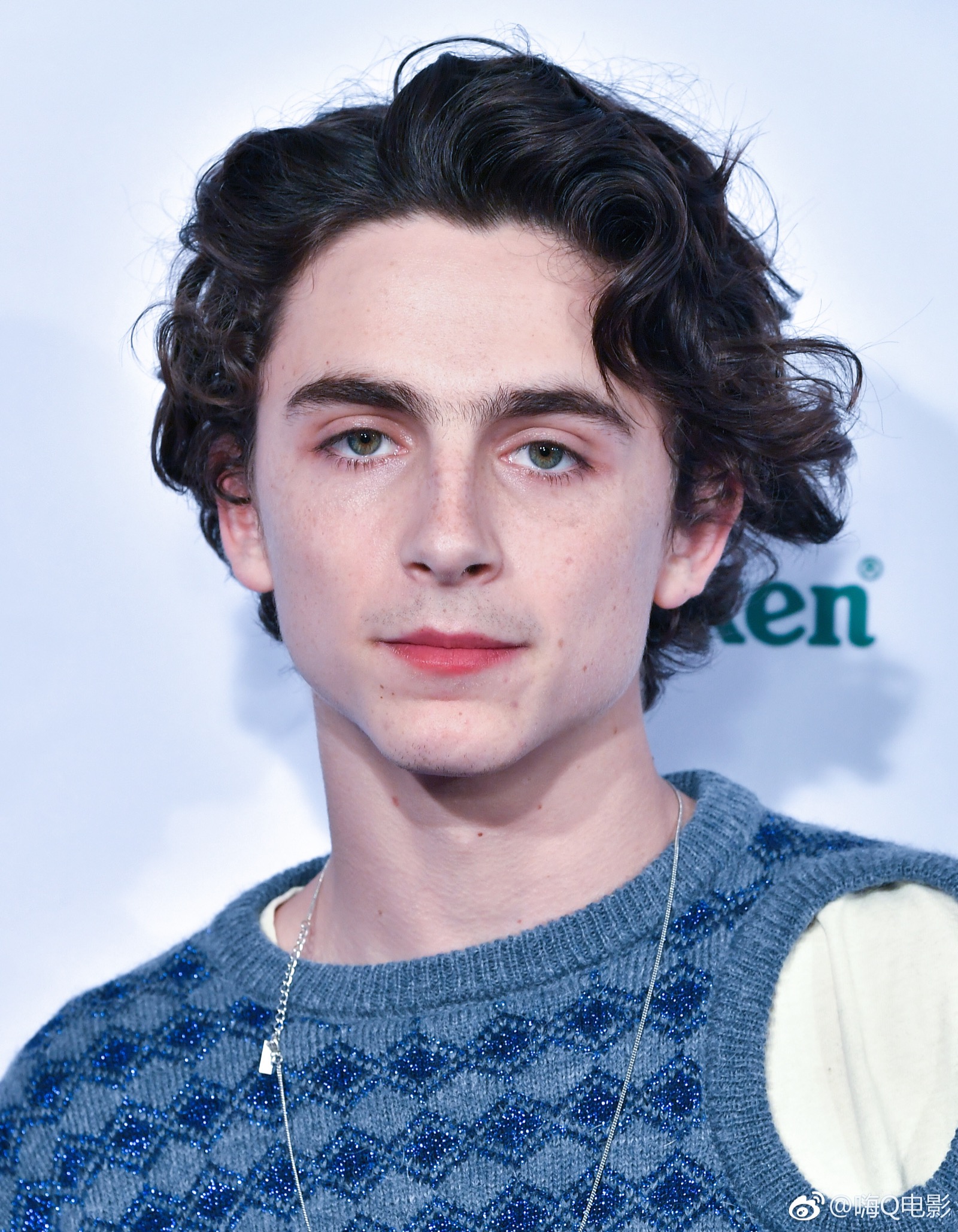 蒂莫西·柴勒梅德timothéechalamet(请以你的名字呼唤我)蒂莫西·柴