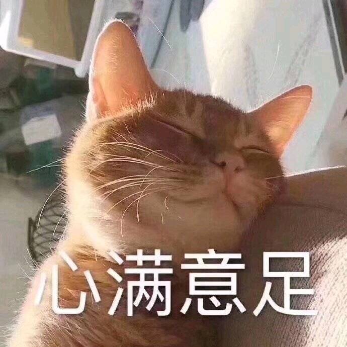 小猫咪表情包