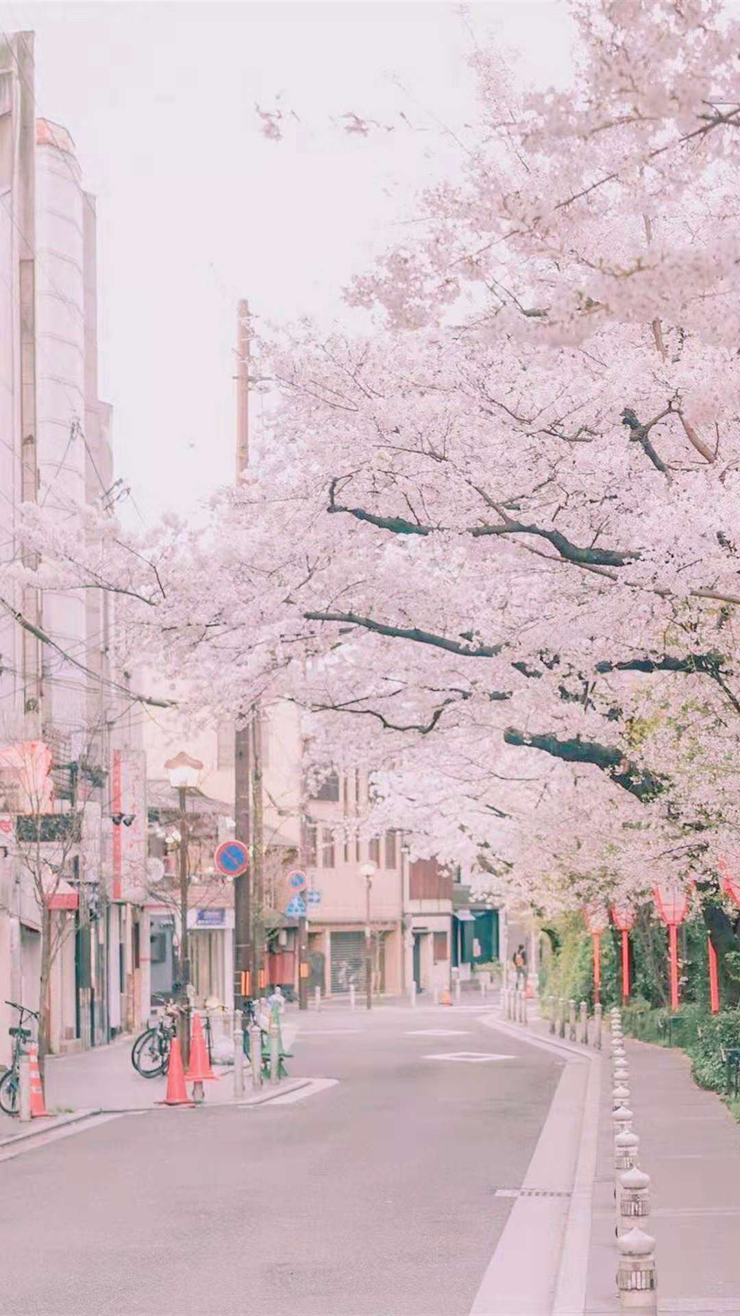 背景 壁纸 风景 日本