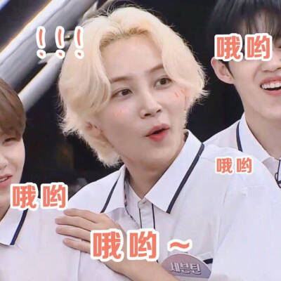seventeen表情包