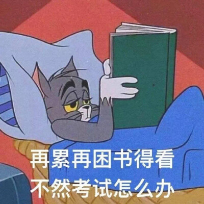 考研 表情包 学习