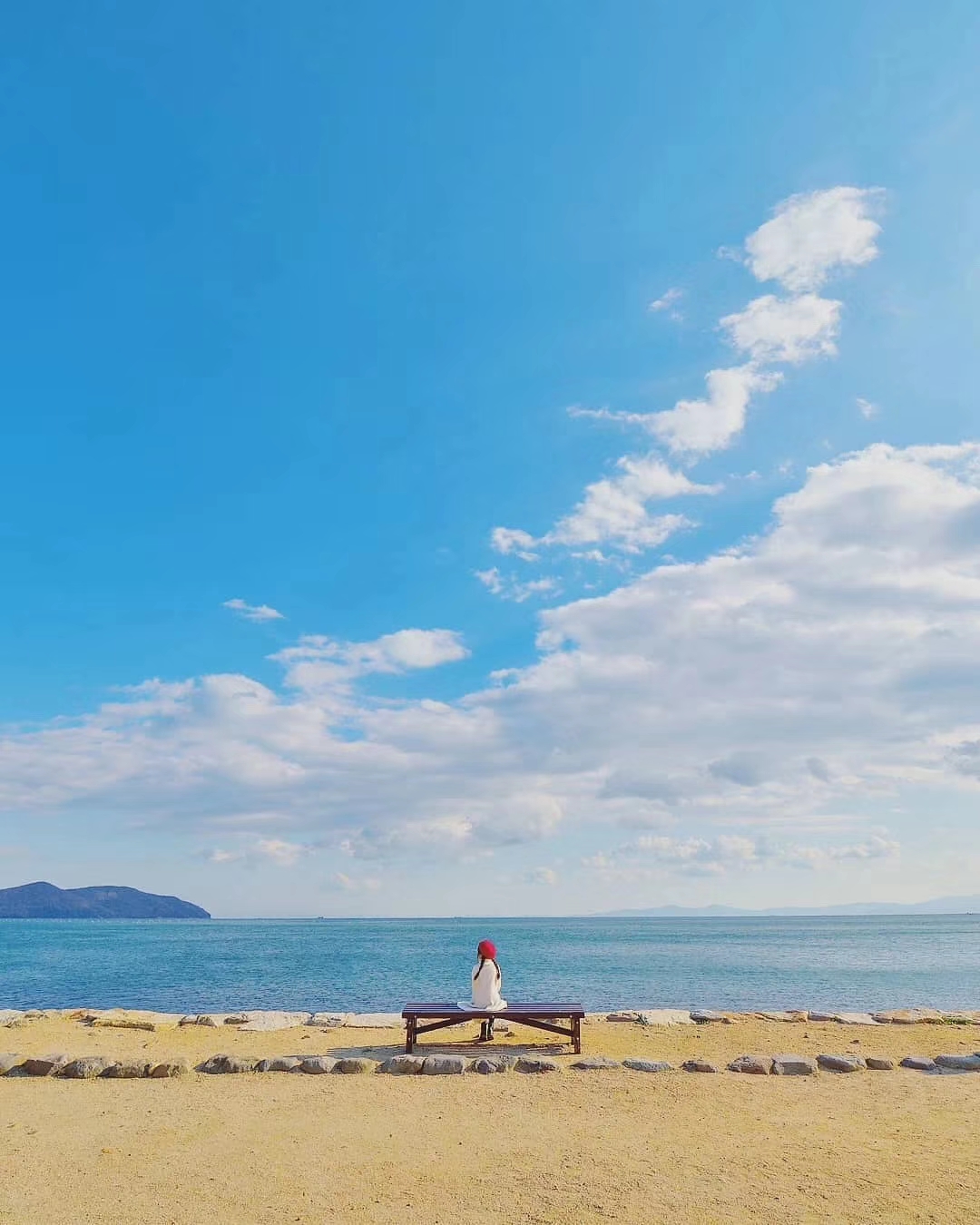 【风景】蓝天 大海 樱花 向日葵