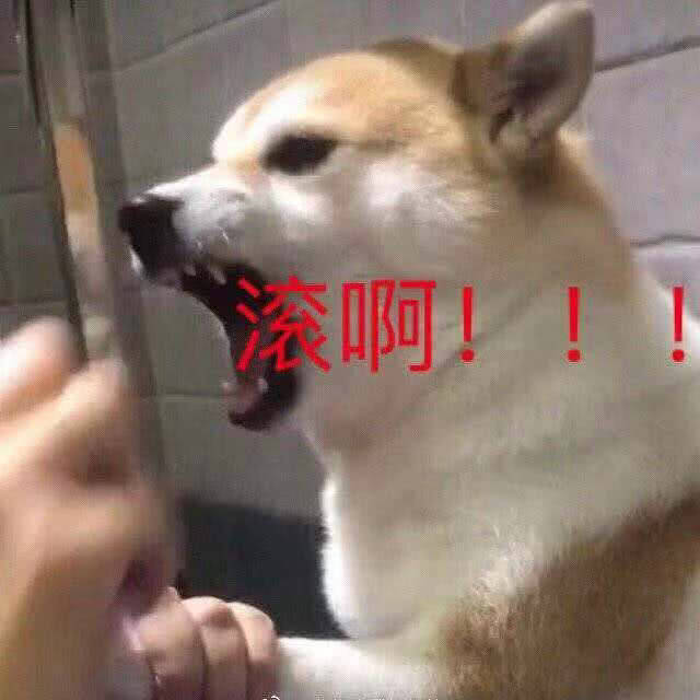 表情包搞笑 - 堆糖,美图壁纸兴趣社区