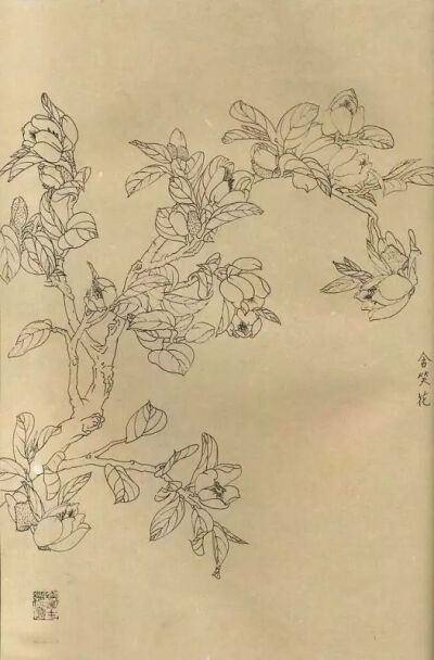 白描迎春花