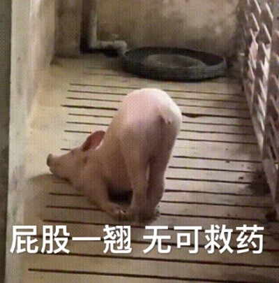 翘 表情包