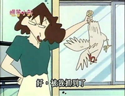 抓到了表情包