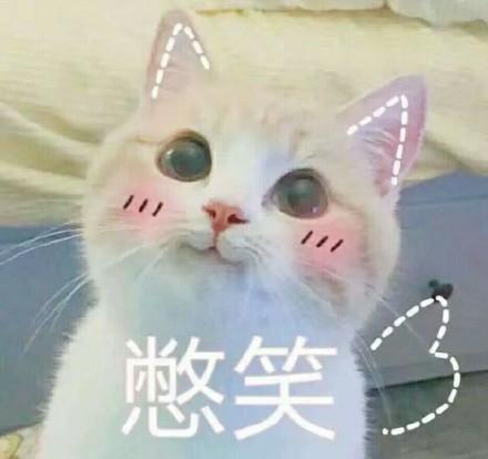 憋笑(小猫)