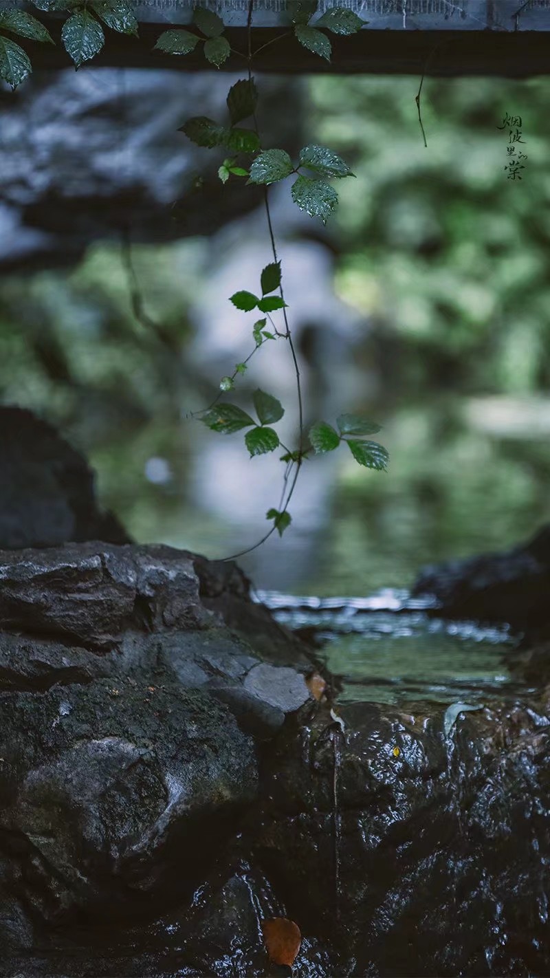 清明时节雨纷纷图:烟波里的棠 - 堆糖,美图壁纸兴趣