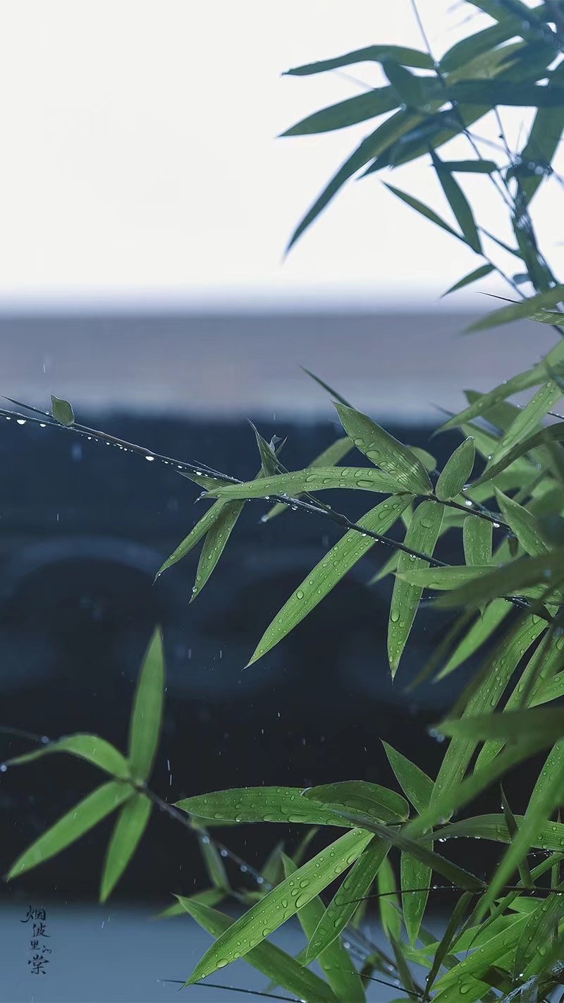 清明时节雨纷纷图:烟波里的棠 - 堆糖,美图壁纸兴趣