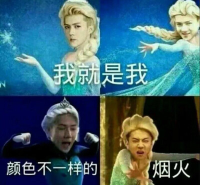 不要翻了表情包 - 堆糖,美图壁纸兴趣社区