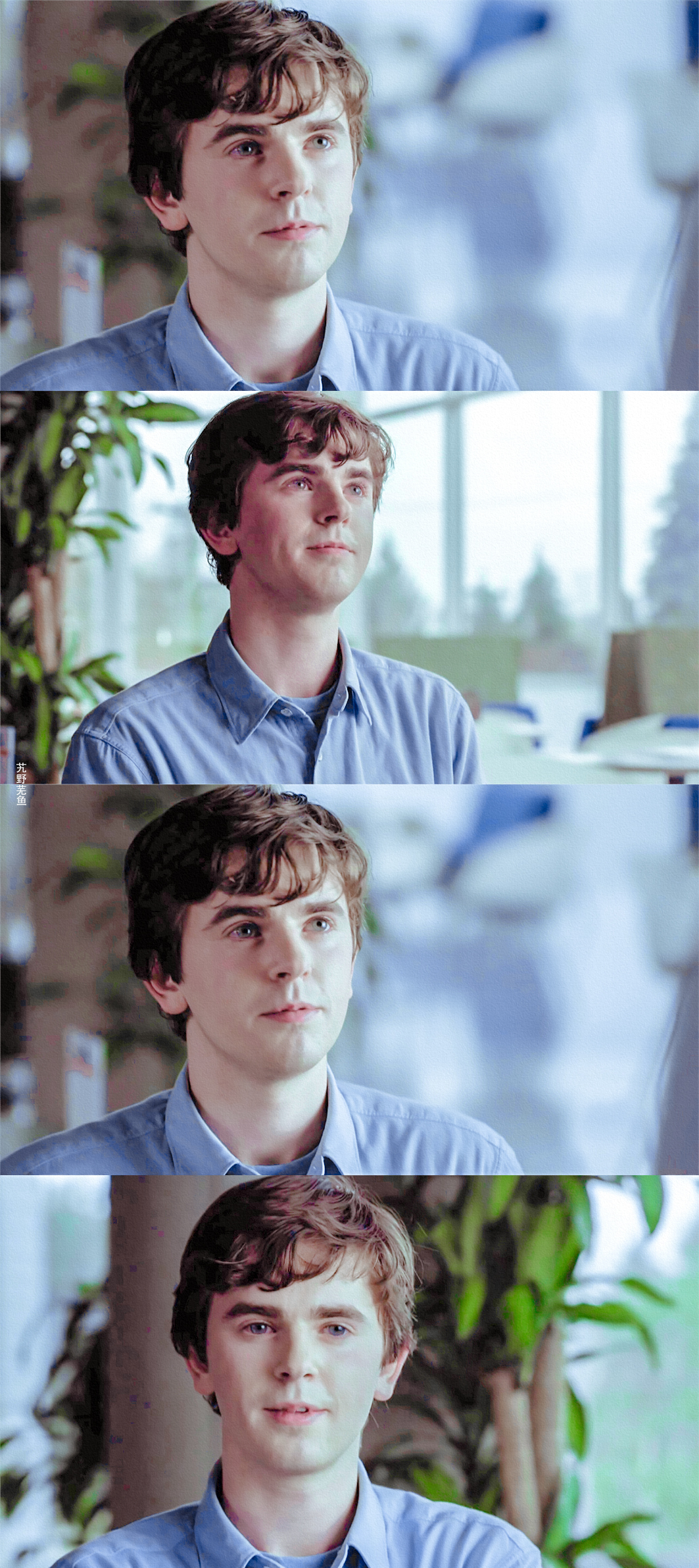 the good doctor 良医 freddie highmore 弗莱迪·海默