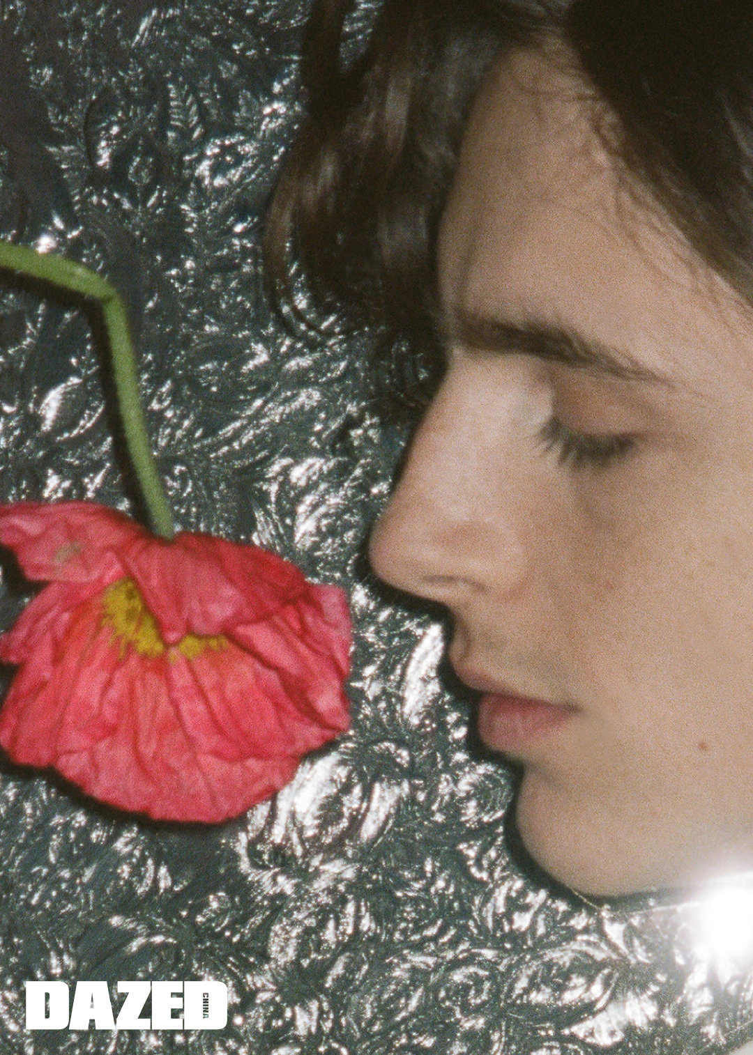 提莫西·查拉梅 timothée chalamet