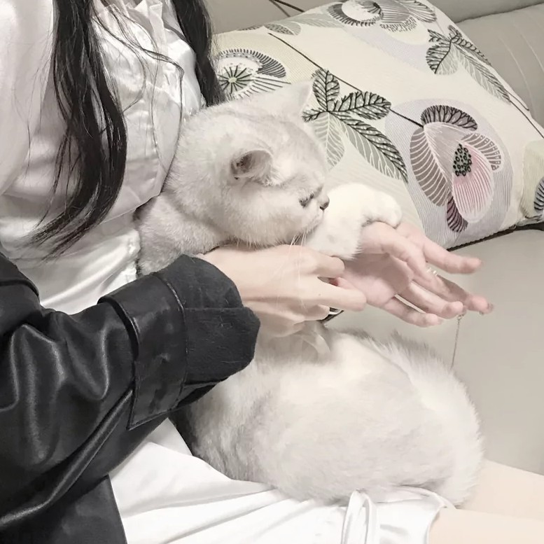 情头 情侣头像 男友不是人系列 二转注明 言妩