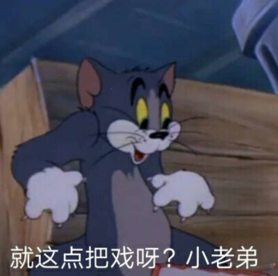 壁纸tom and jerry