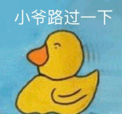 小黄鸭表情包