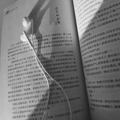 书本文字