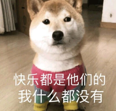 快乐都是他们的,我什么都没有(狗子)