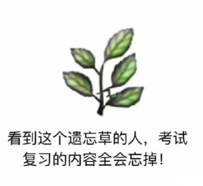 看到这个遗忘草的人,考试复习的内容全会忘掉