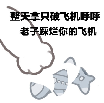 小飞机呼呼呼(表情包