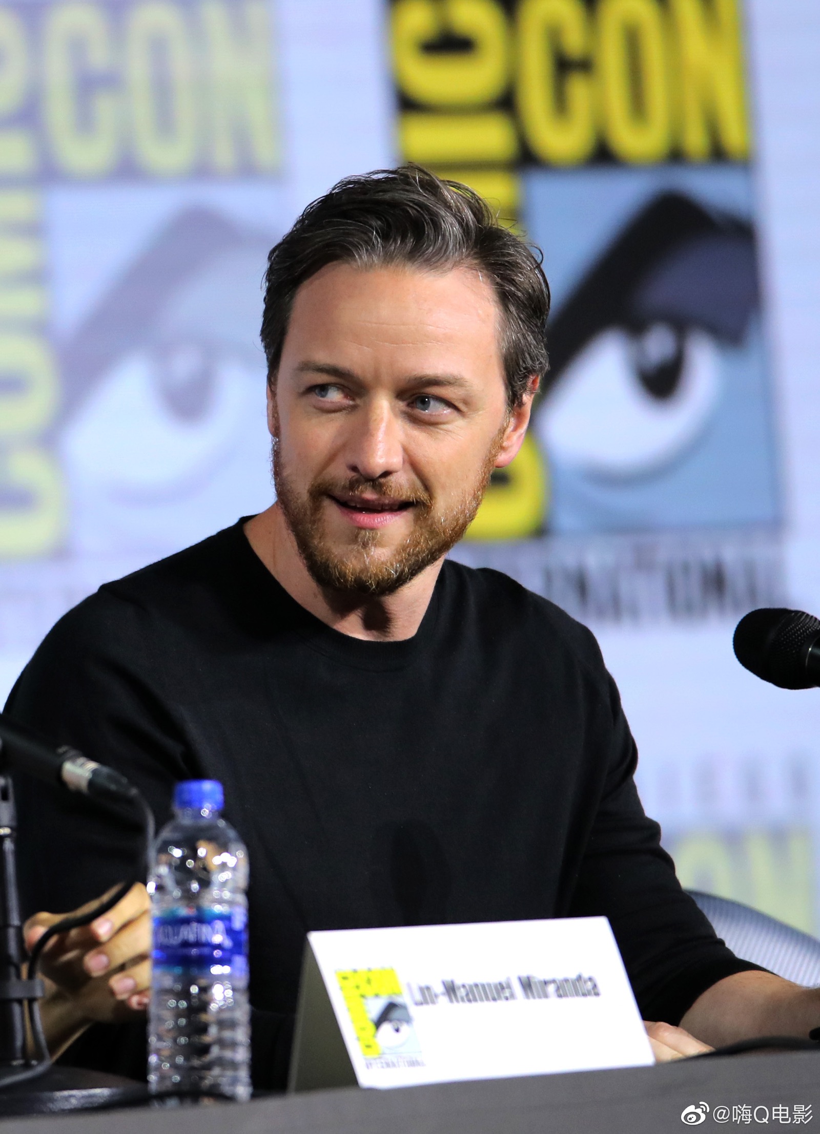 詹姆斯·麦卡沃伊jamesmcavoy(詹一美)