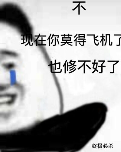 小飞机呼呼呼(表情包